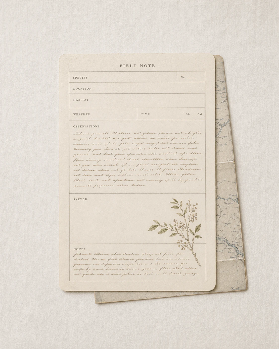 Field Notes & Paper Ephemera, from a Wild Bird Post envelope